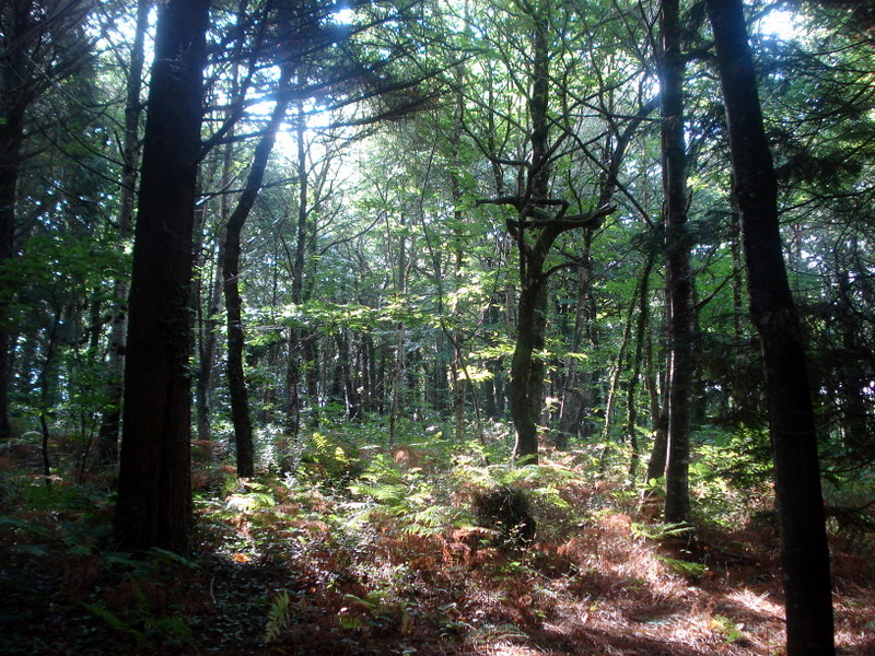 penangoat commune de plozevet ( finistere )