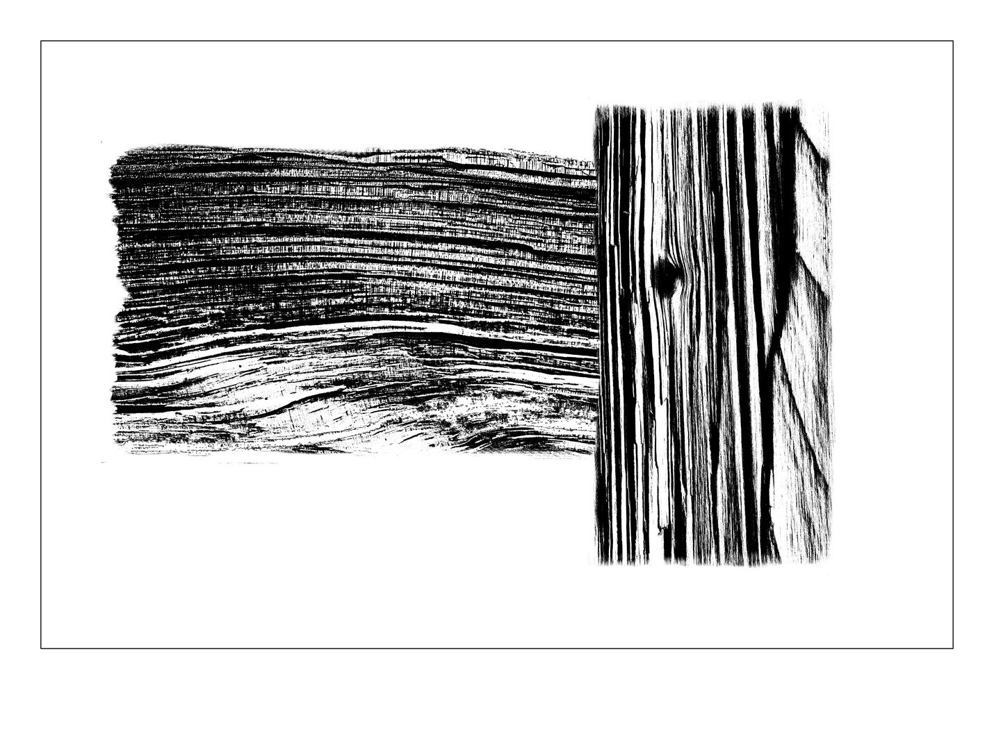 Pencile of Nature - Wood #1