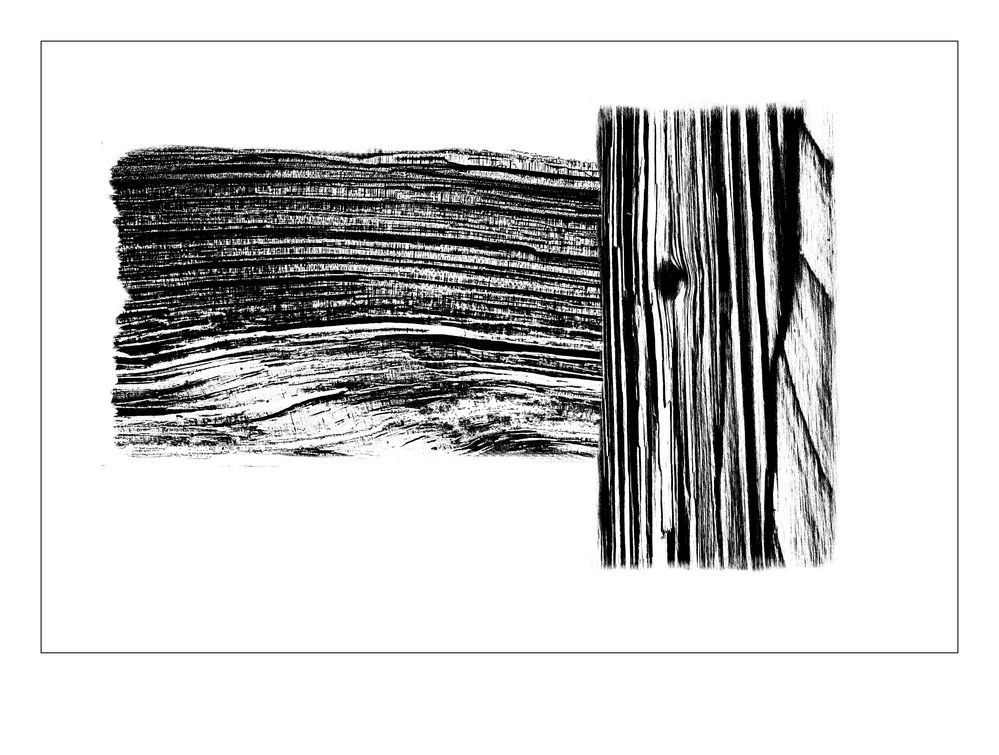 Pencile of Nature - Wood #1