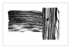 Pencile of Nature - Wood #1