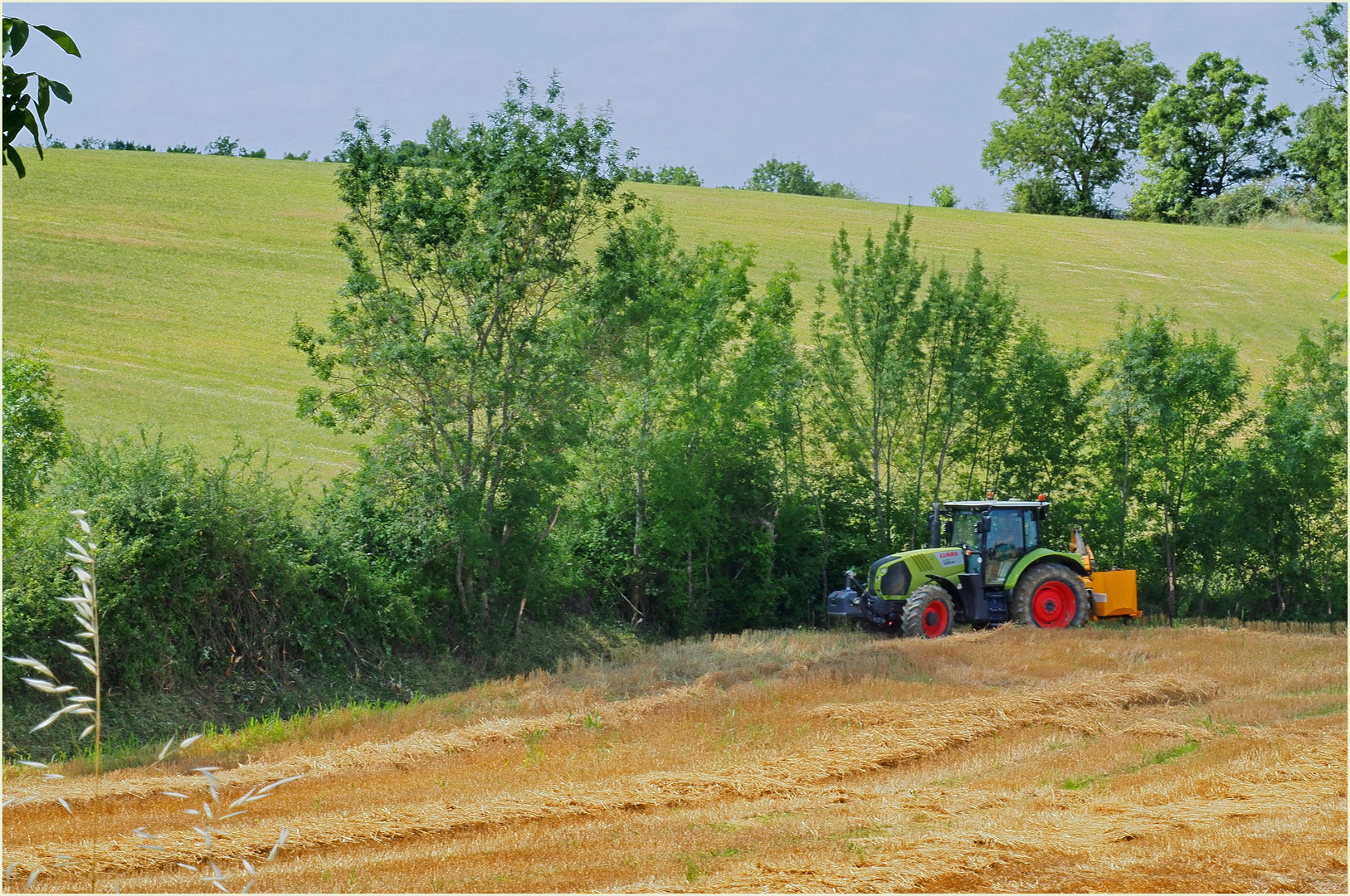 Pendant la moisson