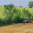 Pendant la moisson