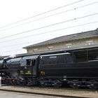 Pendelfahrten mit CFL1817 und CFL 5519 zwischen Ettelbrück und Bissen Part IX