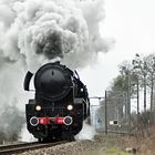 Pendelfahrten mit CFL1817 und CFL 5519 zwischen Ettelbrück und Bissen Part VIII