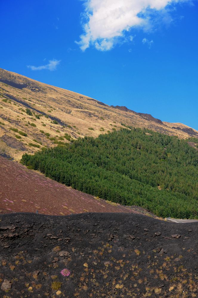 Pendici dell'Etna