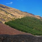 Pendici dell'Etna