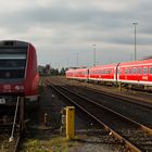 Pendolino im Licht