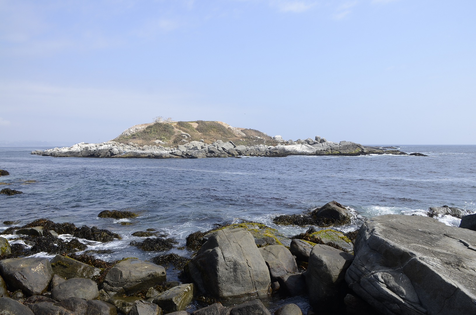 Penguin Island - Cachagua, Chile