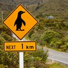 Penguins Crossing