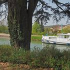 Péniche sur le canal latéral de la Garonne à Agen