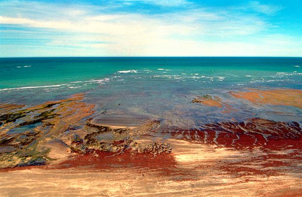 Peninsula de Valdez. Patagonia Argentina.