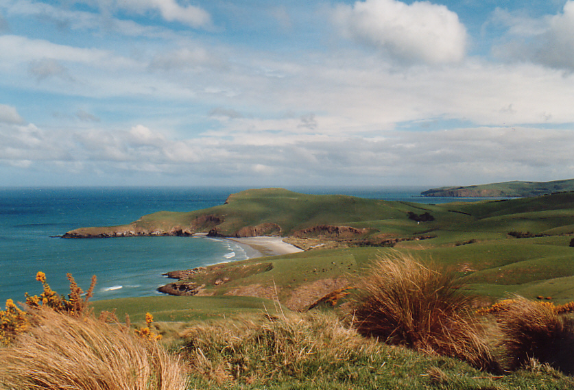 Peninsula Dunedin, Neuseeland,1994