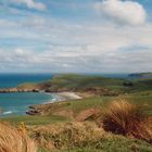 Peninsula Dunedin, Neuseeland,1994