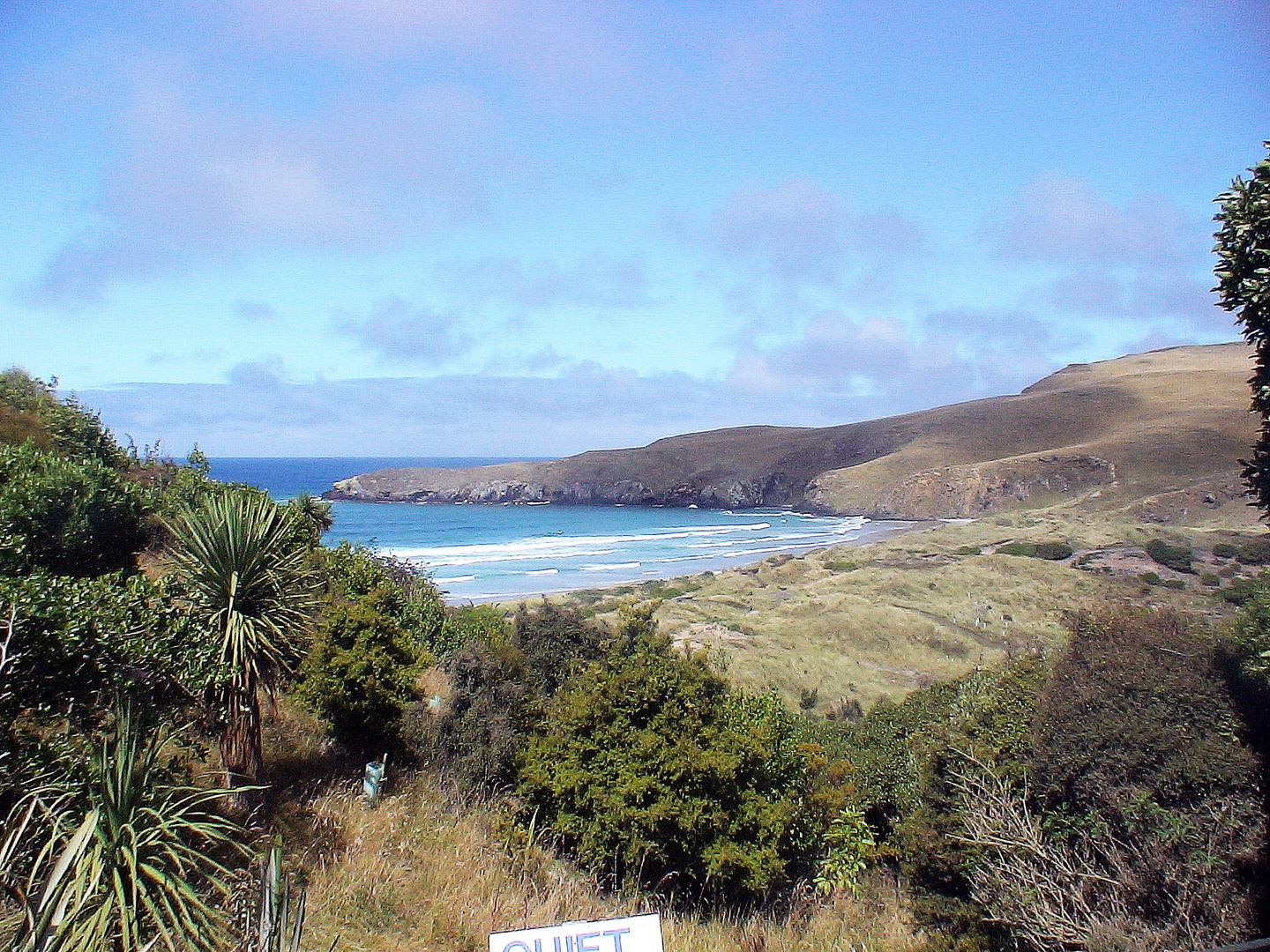 Peninsula Otago