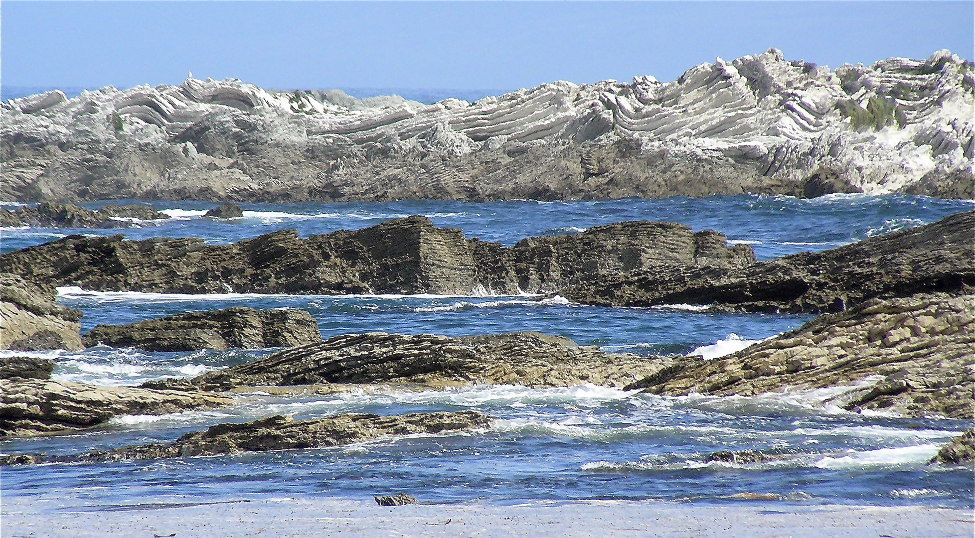 PENINSULA SEAL COLONY - KAIKOURA