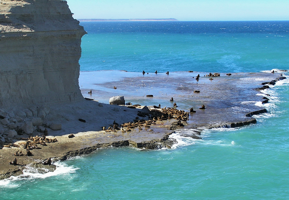 Peninsula Valdés