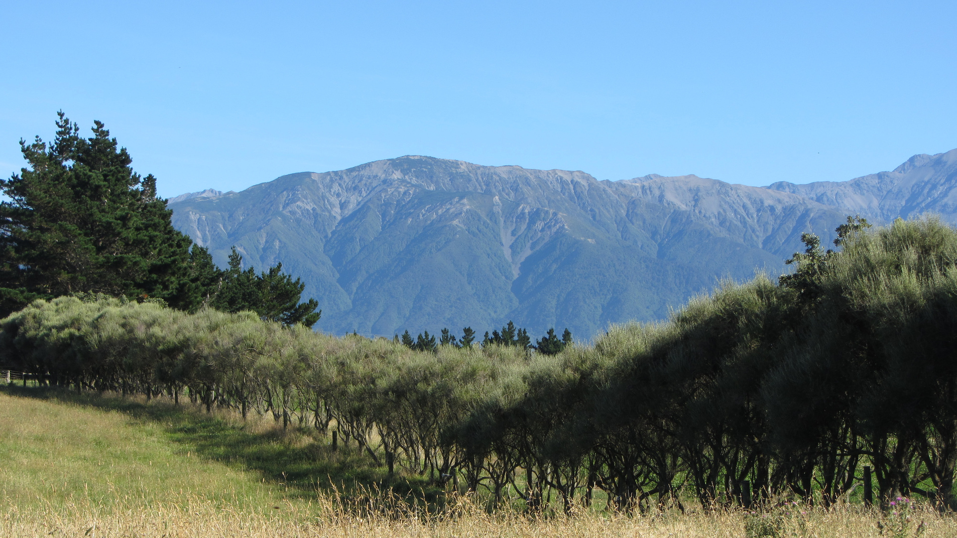 Peninsula-Walk in Neuseeland