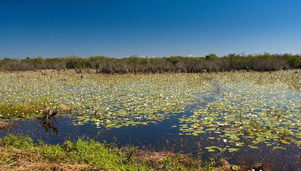 Peninsula Zapata 3