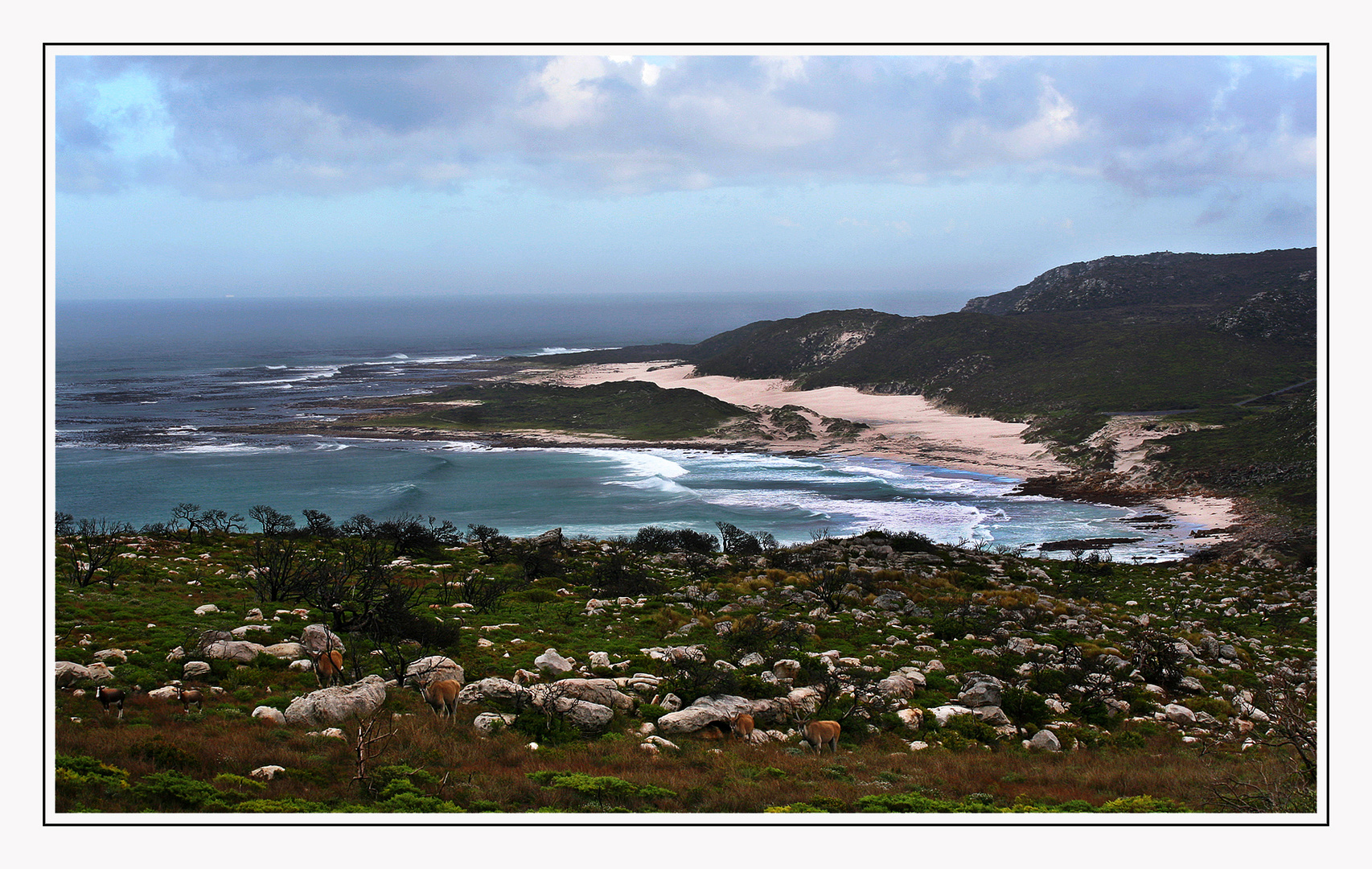 Penisola del Capo 2