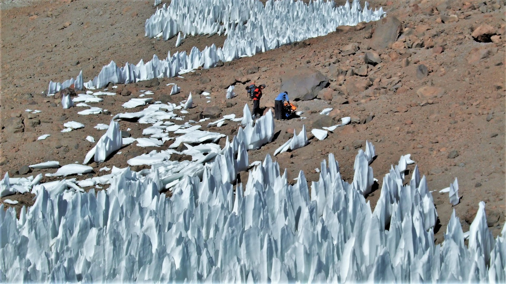 Penitentes