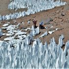 Penitentes