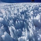 Penitentes