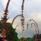 Penjor lining a road in Bali at Galungan