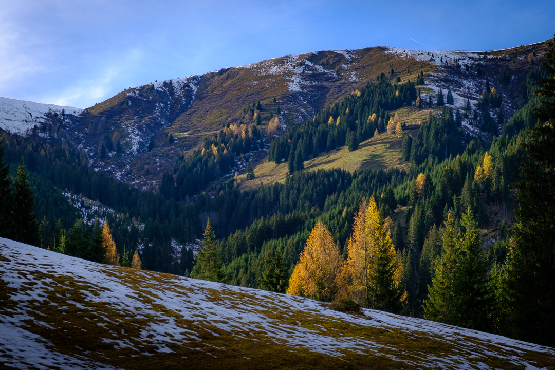 Penkkopf zwischen Herbst und Winter