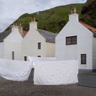 Pennan