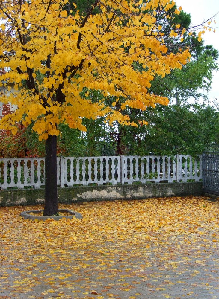 Pennello d'Autunno