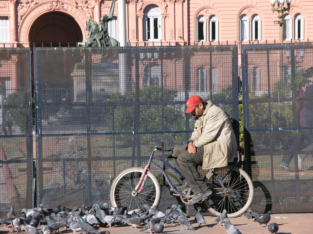 Pennichella a Plaza de Mayo