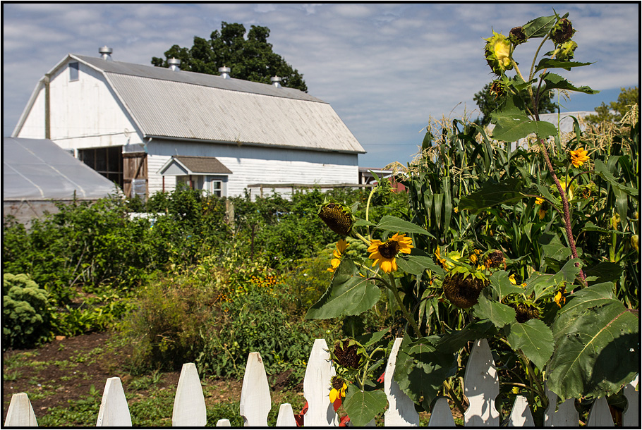 Pennsylvania | Amish Country |