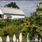 Pennsylvania | Amish Country |