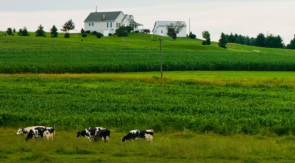 **pennsylvania meadows**