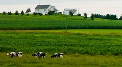 **pennsylvania meadows**