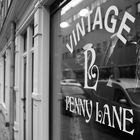 Penny Lane Vintage Store
