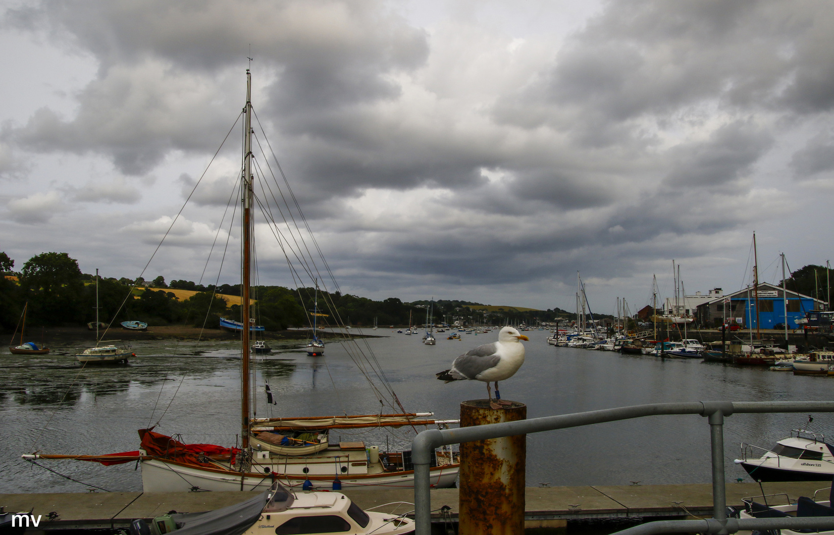 Penryn River