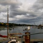 Penryn River