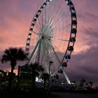 Pensacola USA (Riesenrad) Leica Digilux 2