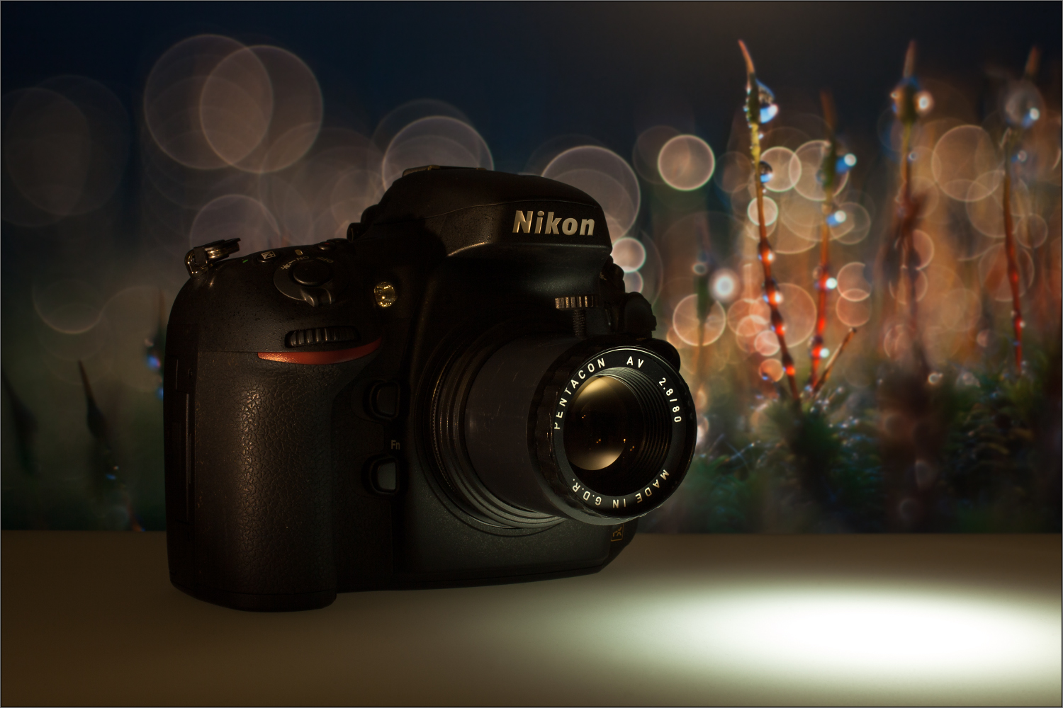 Pentacon AV 2,8/80 an die Nikon D800e adaptiert.