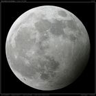 Penumbrale Mondfinsternis am 14/15. März 2006 - Maximum