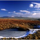 Penyghent Hill from Sulber