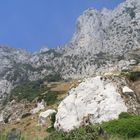 Peñón de Gibraltar -.---