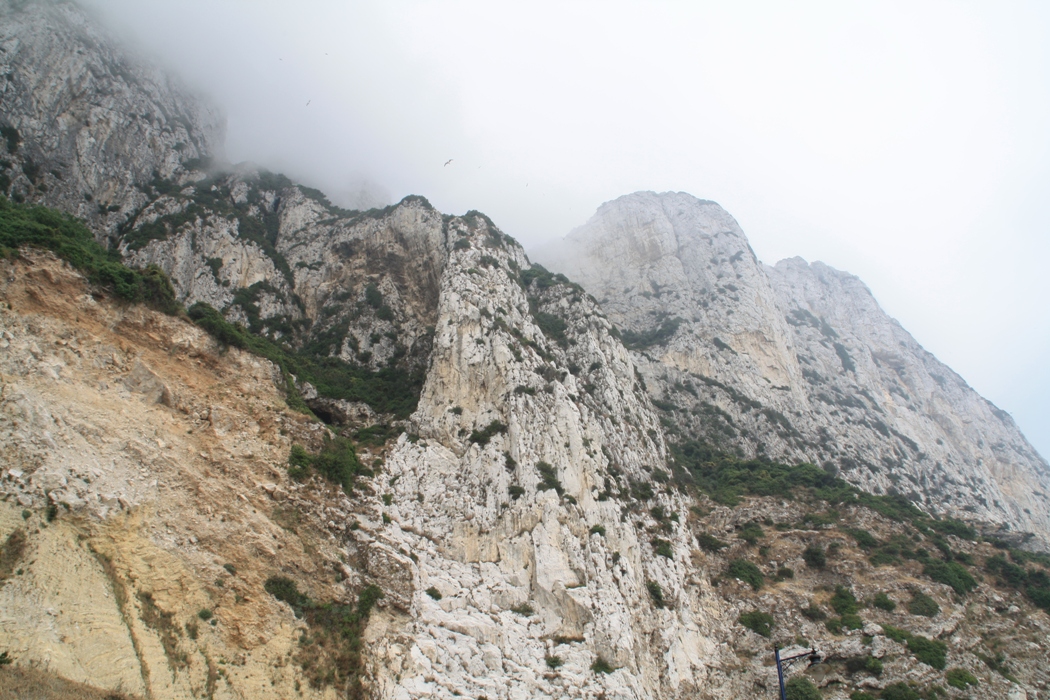 Peñón de Gibraltar -- --