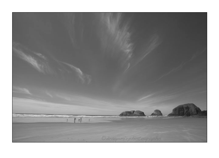 People And Dogs On Beach 