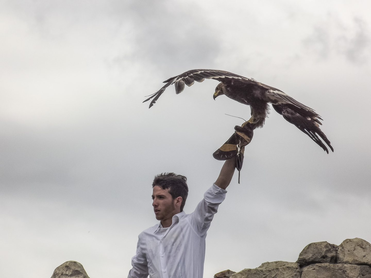 People - Andrew with eagle