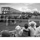 People at the Racetrack XVI