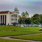 People cleaning an cutting the lawn grass