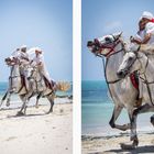 people from ......... Djerba