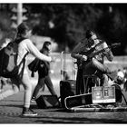 People in Rome [ XV ]